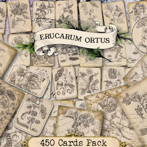 Erucarum Ortus - set of 40 pictures on 450 cards in JPG format with antique illustrations instant digital download for commercial use