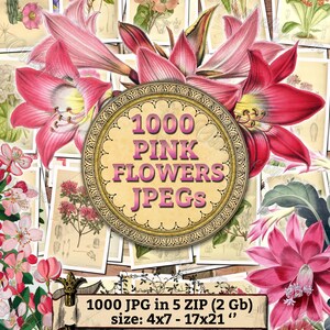 1000 ROZE BLOEMEN jpeg's - pak vintage afbeeldingen met afbeeldingen uit het publieke domein in hoge resolutie digitale download afdrukbare roze kleur bloesems