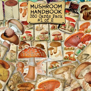 Manuel sur les champignons n°1 - lot de 40 photos sur 350 cartes, illustrations anciennes design vintage encarts pour champignons naturels atlas clipart journal