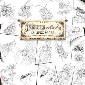 May include: A selection of black and white insect drawings, ideal for colouring. The illustrations feature a variety of insects, including spiders, bees, beetles, and butterflies. A banner states "Insects for Coloring" with page and resolution details.