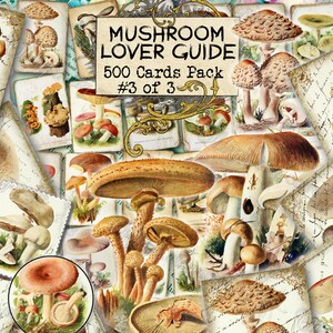 Guide des amateurs de champignons #3 - lot de 40 photos sur 500 cartes, illustrations anciennes design vintage encarts pour clipart journal naturel lepiota