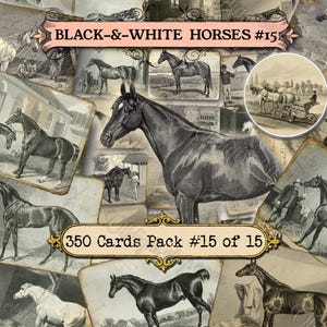 Tarjetas de diario basura con caballos en blanco y negro n.° 15, efímeras de caballos vintage, granja victoriana, rancho del oeste, papel digital para álbumes de recortes, 50 archivos JPG