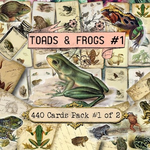 Kröten und Frösche #1 Junk Journal Seiten, Amphibien Illustration, Vintage Ephemera, Kuriosität Collage, Printable Collage Sheet, Digitale Papiere