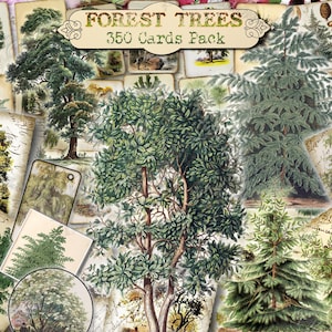 Forest Trees Botanical Junk Journal, Pigne di conifere, Quercia, Acero, Pino, Effimere vintage del bosco, Abete rosso, Cedro, Arbusti da giardino, 61 JPG