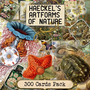 Haeckel's Artforms of Nature Junk Journal Cards, Marine Life Printables, Frogs & Amphibians, Reptiles, Turtles, Printable Collage Sheet