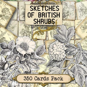 Croquis de journal botanique indésirable d'arbustes britanniques, rose sauvage, aubépine, prunellier, feuille de collage imprimable, éphémères vintage, baies