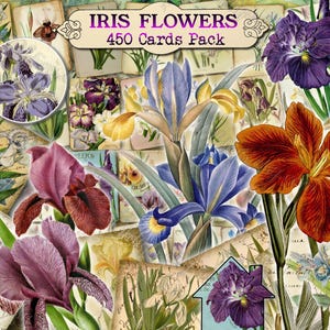 Iris Flowers - set of 40 pictures on 450 cards vintage design old illustrations inserts for natural junk journal clip art floral botanical