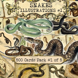 Illustraties slangen #1 ongewenste dagboekpagina's, vintage slangen, antieke slang dieren in het wild, plakboekpakket, Victoriaanse reptielen, ephemera