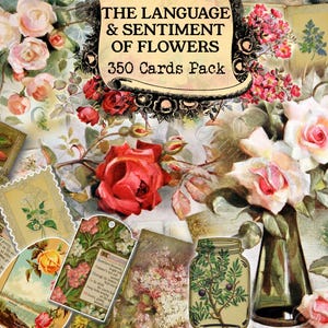 The Language and Sentiment of Flowers - set van 40 afbeeldingen op 350 kaarten in JPG met antieke illustraties vintage bloemen bloesemplant