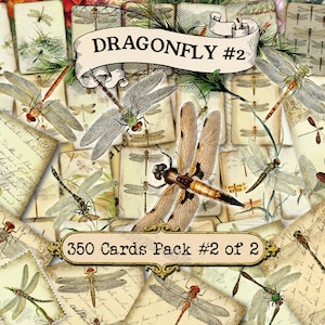 トンボ #2 アンティーク昆虫、フィールドノート、池の生き物、探検家日誌、ビクトリア朝の生物学、科学イラスト、自然史の版画