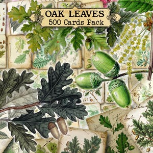 Oak Leaves Botanical Junk Journal Cards, Woodland Green Foliage, Forest Flora, Quercus Acorns, Vintage Ephemera, Printable Collage Sheet
