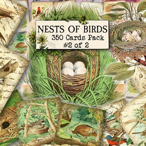 Nids d'oiseaux #2 - lot de 40 photos sur 350 cartes au format JPG avec illustrations anciennes en téléchargement numérique instantané pour un usage commercial
