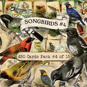 Songbirds #4 Junk Journal Pages, Passerine, Lark Swallow Flight, ATC cards, Bullfinch Charm, Redstart, Stonechat, Vintage Ephemera, 72 JPG