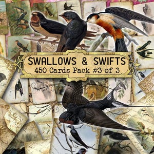 Zwaluwen en gierzwaluwen #3 Junk Journal Kit, wildlife vintage efemere verschijnselen, nesten moeras, digitale vogelpapieren, afdrukbaar collageblad, plakboek