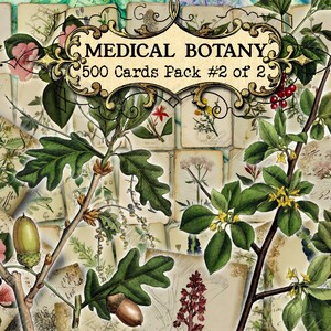 Medical Botany #2 - set of 40 pictures on 500 cards vintage old illustrations useful plants botanical floral flora health medicinal herbs