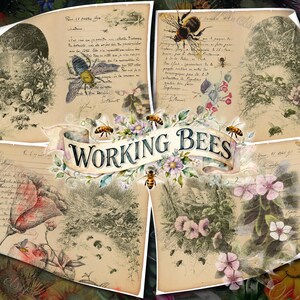 Working Bees Vintage Botanical Illustrations, French Handwriting & Antique Garden Digital Ephemera, Nature Bee Junk Journal Backgrounds