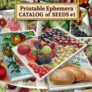 Printable Ephemera Catalog of Seeds #1 - set of 36 digital sheets with fruits pictures in JPG 8.5x11 inches pack for mixed media journal