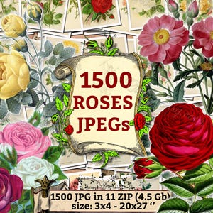以下が含まれることがあります： さまざまな色とスタイルのバラの画像1500枚のデジタルコラージュ。スクロールに「1500 ROSES JPEGS」というテキストが表示されています。「1500 JPG in 11 ZIP (4.5 Gb) size: 3x4 - 20x27」というテキストも表示されています。