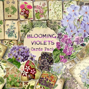 Blooming Violets - set of 40 pictures on 500 cards vintage design old illustrations inserts for natural junk journal collage clip art flower