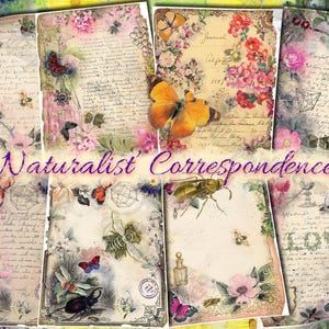 Correspondencia de naturalistas: conjunto de 33 hojas de diario basura con collages digitales, diseños de cartas escritas a mano, mensajes, manuscritos, espacios en blanco