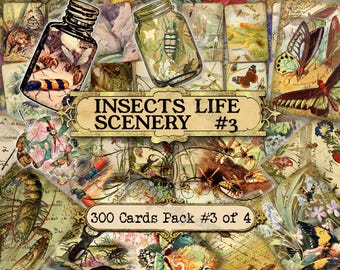 Insects Life Scenery #3 - set of 40 pictures on 300 cards in JPG format with antique illustrations instant digital download commercial use