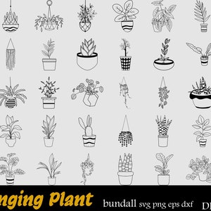 Pflanzen svg bündel, hängende Pflanzen, Pflanzen svg bündel handgezeichnete, Zimmerpflanzen svg, Zimmerpflanzen Clipart, Pflanzen in Töpfen svg, Topfpflanzen.