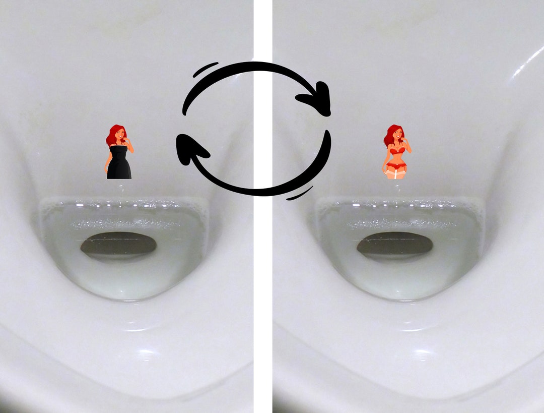 4 Urinal Stickers Pin up Urinal Target Stickers Sexy Lady Etsy