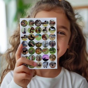 Foglio di adesivi cavalli maestosi. Adesivi per bambini. Foglio di adesivi. Adesivi per cavalli. Adesivi carini. Adesivi Cavalli