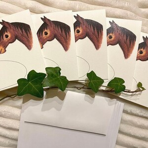 Lot de 5 cartes de voeux Cheval (vierges)