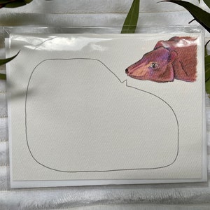 Carte de vœux de l’ours (vierge)