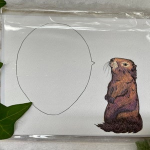 Cartão de felicitações da marmota (em branco)
