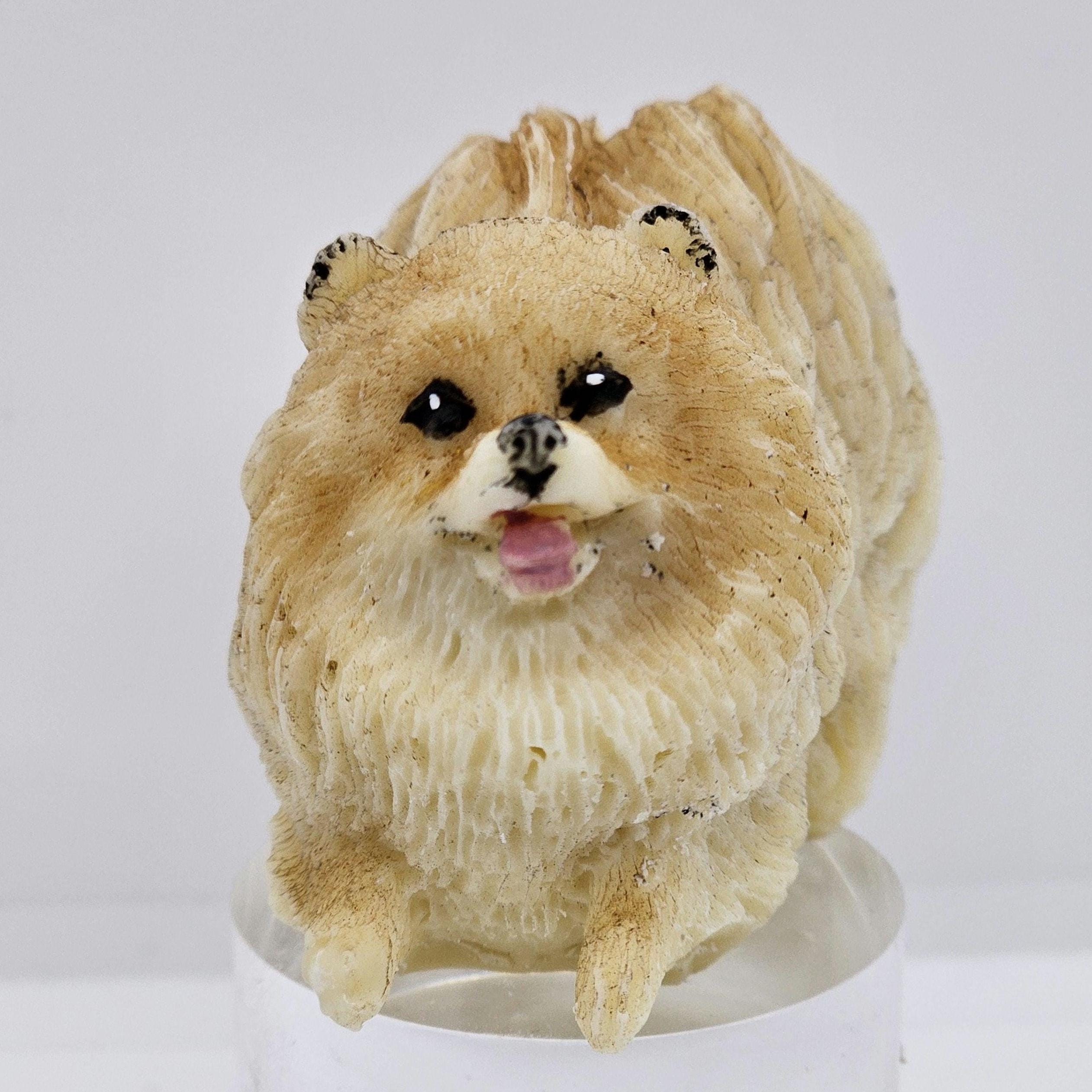 Stuffed Black Pomeranian UK - Main Image