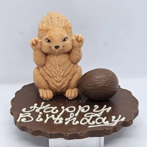 Handmade Chocolate Squirrel on a personalised plaque with walnut ideal as a cake topper, cake decoration or as a gift