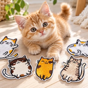Könnte beinhalten: Ein rot getigertes Kätzchen hinter fünf gestickten Katzenaufnähern. Die Aufnäher zeigen verschiedene Katzendesigns, darunter eine weiß-orange Katze, eine braun-weiße Katze, eine gefleckte orange Katze, eine Glückskatze und eine braun gestreifte Katze.