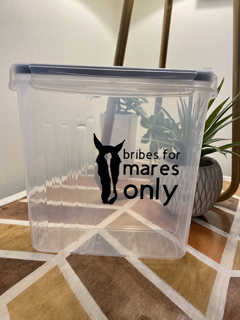 Custom Horse Treat Container Etsy