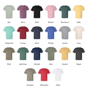 Vintage Pisces Zodiac Tee, Comfort Colors Graphic Shirt image 2
