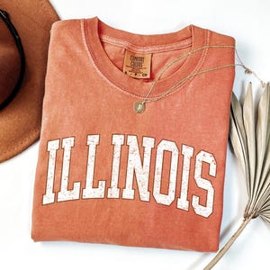 Peut inclure: Un t-shirt corail avec le mot "ILLINOIS" imprimé en grandes lettres blanches usées. Le t-shirt a un col rond et une petite étiquette qui dit "COMFORT COLORS". Un collier en or avec un pendentif est drapé sur le t-shirt. Un chapeau marron est visible en haut à gauche.