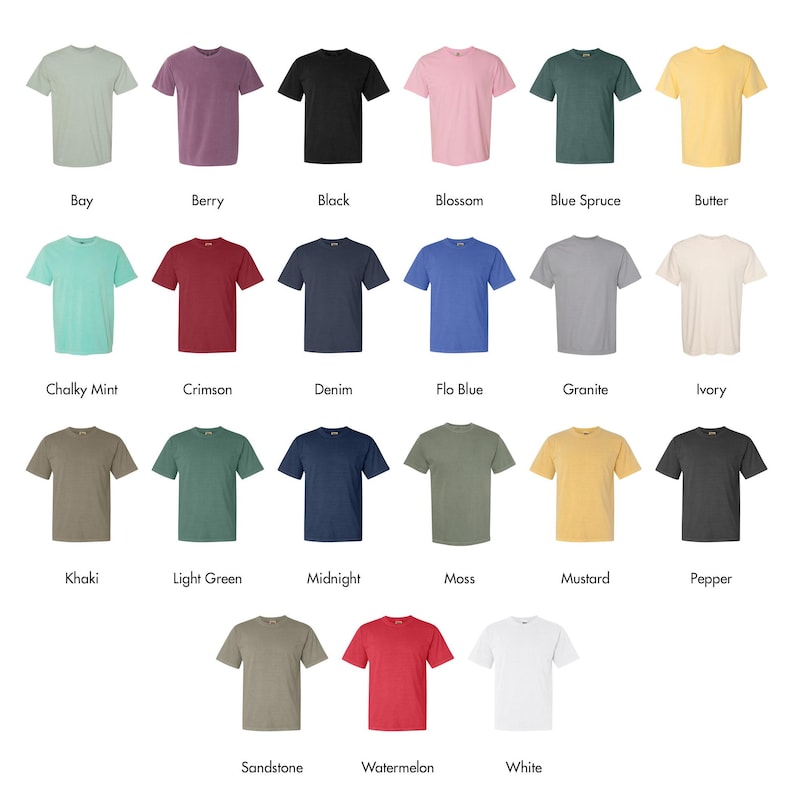 Leo Zodiac Comfort Colors Tee, Vintage Lion Astrology Shirt image 2
