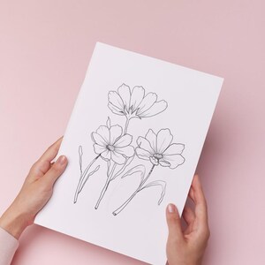 Botanical Line Art – Illustrazione di fiori di cosmo disegnati a mano in formato A4