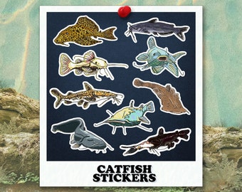 Catfish Stickers