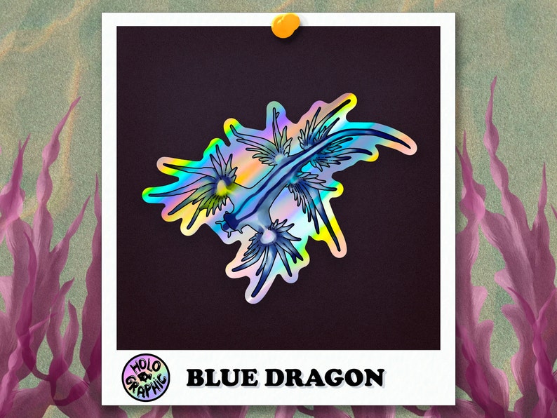Holo Nudibranch Stickers Blue Dragon