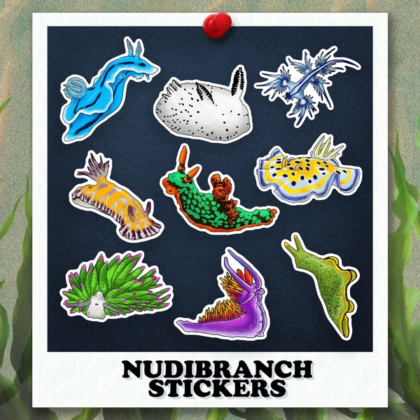 Stickers nudibranche