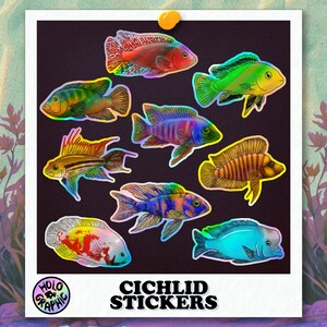 Stickers Cichlidés Holo