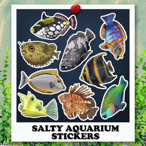 Stickers aquarium salé