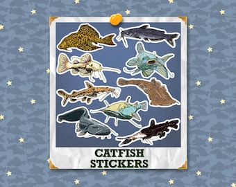 Catfish Stickers: Handmade Original Designs & Stickers