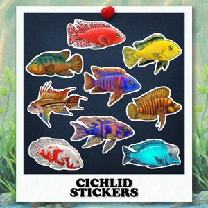 Buntbarsch Sticker