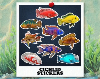 Cichlid Stickers