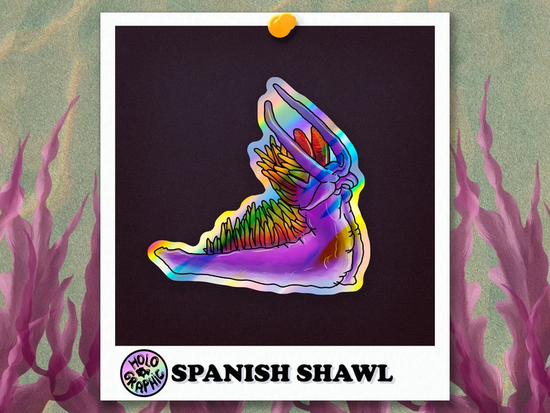 Holo Nudibranch Stickers Spanish Shawl