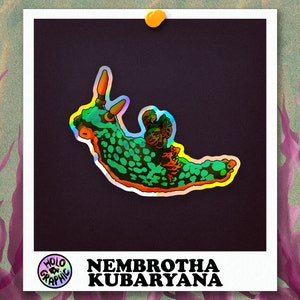 Holo Nudibranch Stickers Nembrotha Kubaryana