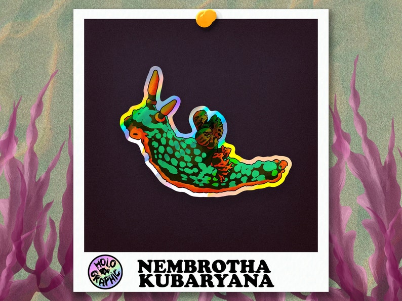 Holo Nudibranch Stickers Nembrotha Kubaryana